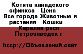 Котята канадского сфинкса › Цена ­ 15 - Все города Животные и растения » Кошки   . Карелия респ.,Петрозаводск г.